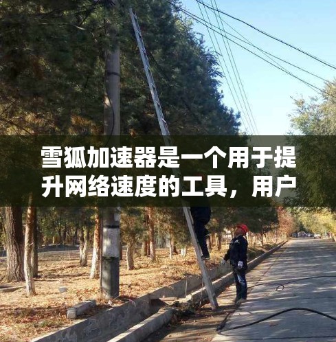 雪狐加速器是一个用于提升网络速度的工具，用户可以在雪狐上使用它来加速下载速度。以下是安装雪狐加速器的步骤