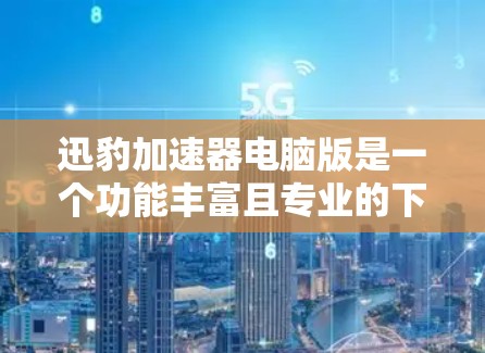 迅豹加速器电脑版是一个功能丰富且专业的下载加速工具，适合在需要快速下载资源时使用。以下是对迅豹加速器电脑版的功能的全面总结