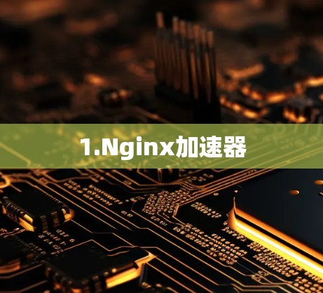 1.Nginx加速器