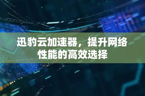 迅豹云加速器，提升网络性能的高效选择