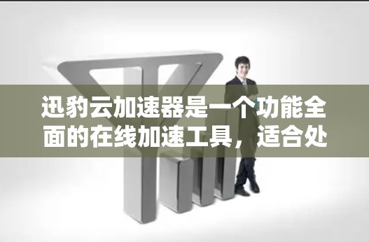 迅豹云加速器是一个功能全面的在线加速工具，适合处理大量文件的用户。以下是基于多个方面对迅豹云加速器的详细总结