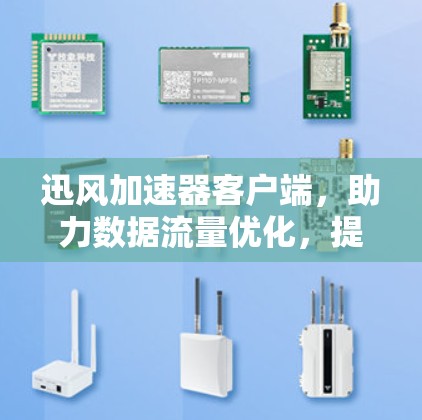 迅风加速器客户端，助力数据流量优化，提升通信体验