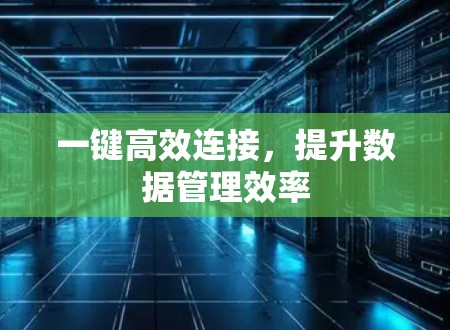 一键高效连接,提升数据管理效率 一键高效连接,提升数据管理效率