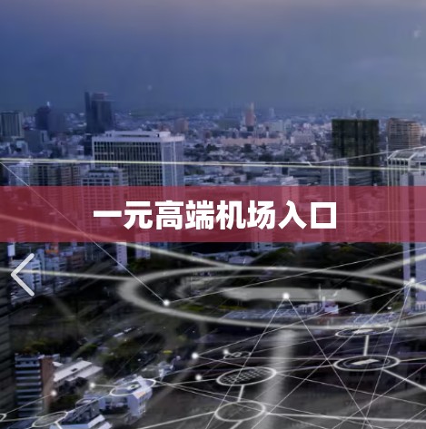 一元高端机场入口