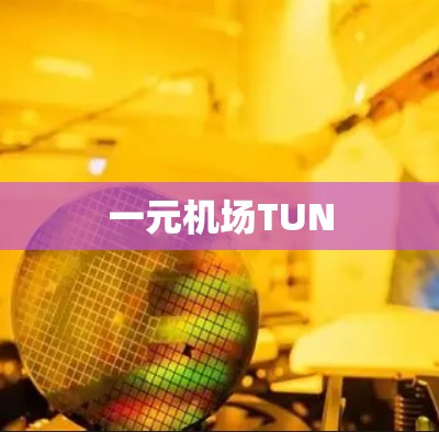 一元机场TUN 一元机场TUN