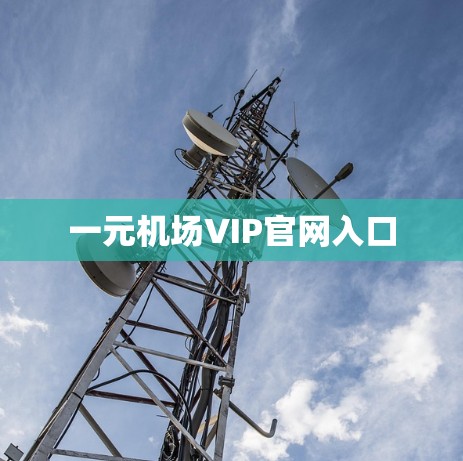一元机场VIP官网入口