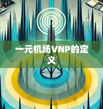 一元机场VNP的定义
