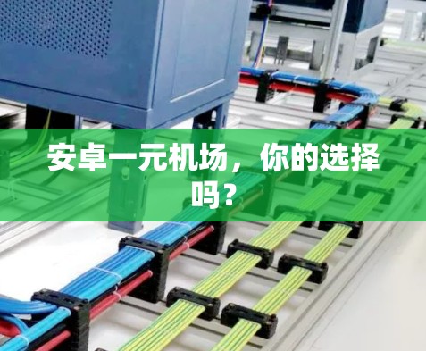 安卓一元机场，你的选择吗？