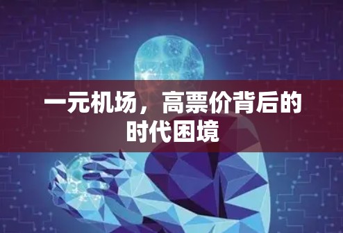 一元机场，高票价背后的时代困境