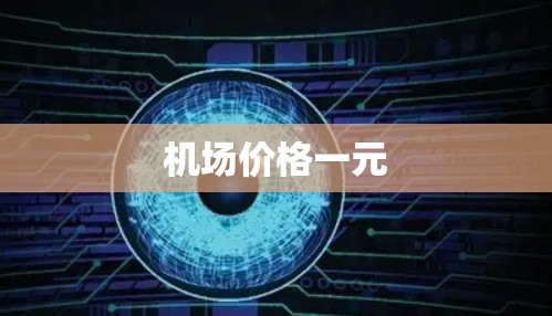 机场价格一元