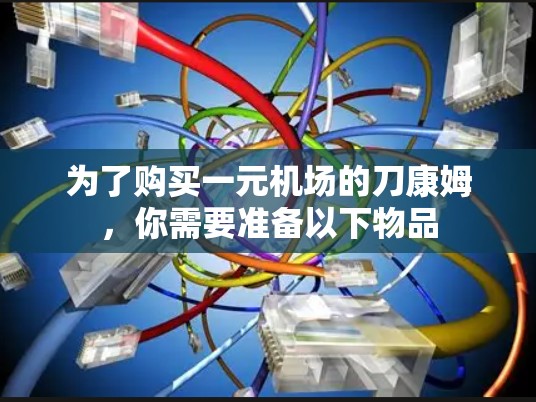 为了购买一元机场的刀康姆，你需要准备以下物品