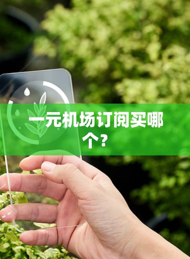 一元机场订阅买哪个？
