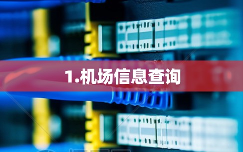 1.机场信息查询