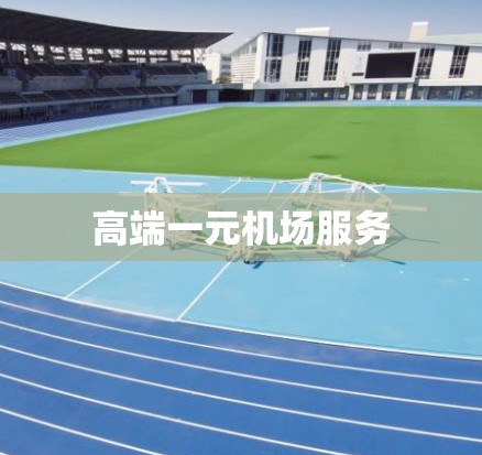 高端一元机场服务