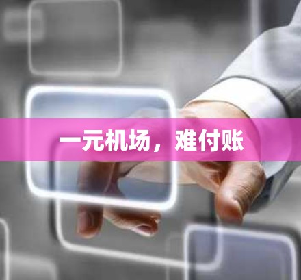 一元机场，难付账