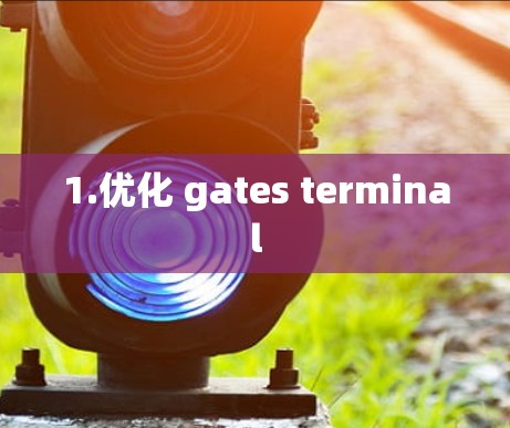 1.优化 gates terminal