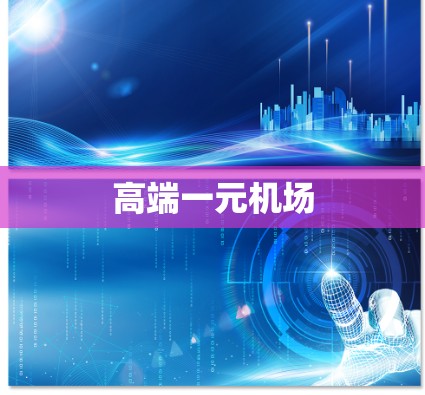 高端一元机场