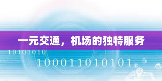 一元交通，机场的独特服务