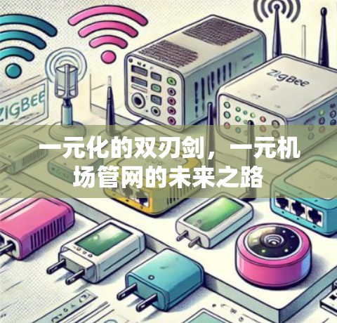 一元化的双刃剑，一元机场管网的未来之路