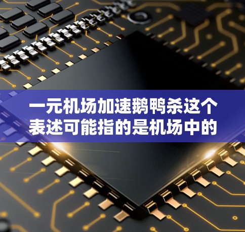 一元机场加速鹅鸭杀这个表述可能指的是机场中的一些自动化设施，比如自动杀鱼区，或者是一个通过自动化技术管理宠物设施的项目。以下是一些可能的解释和建议