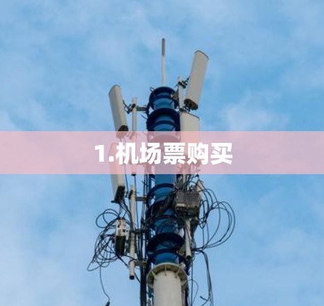 1.机场票购买 1.机场票购买