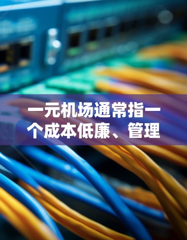 一元机场通常指一个成本低廉、管理简单、服务高效的机场，类似于全球知名的一元机场。以下是一元机场的几个典型例子