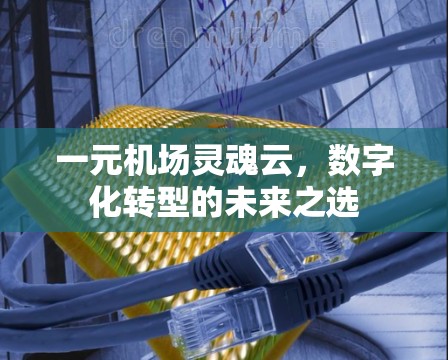 一元机场灵魂云,数字化转型的未来之选 一元机场灵魂云,数字化转型的未来之选