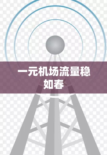 一元机场流量稳如春 一元机场流量稳如春