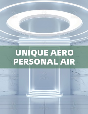 UNIQUE AEROPERSONAL AIRPORT WITH FAN CAT