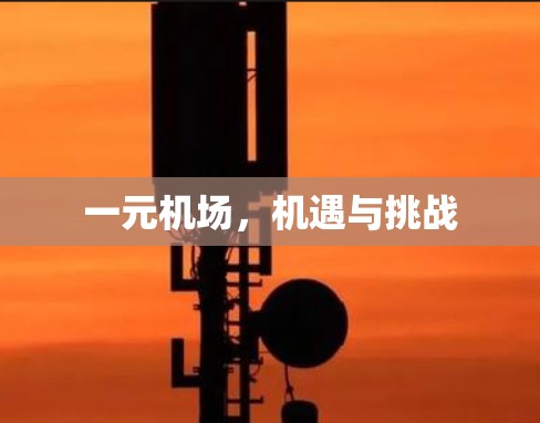 一元机场，机遇与挑战