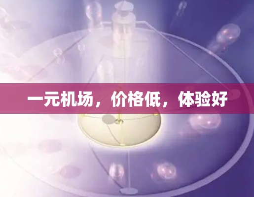 一元机场，价格低，体验好