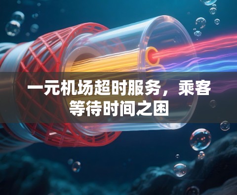一元机场超时服务，乘客等待时间之困