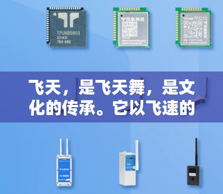 飞天，是飞天舞，是文化的传承。它以飞速的舞姿，勾勒出一幅永恒的画卷。在城市文明的进程中，一元飞天以其独特的精神魅力，成为了一种视觉语言，成为了一种文化符号