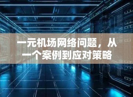 一元机场网络问题，从一个案例到应对策略