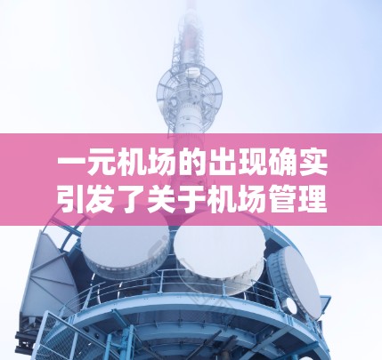 一元机场的出现确实引发了关于机场管理优化、旅客体验提升以及效率提升的讨论。以下是一些可能的解释和潜在影响