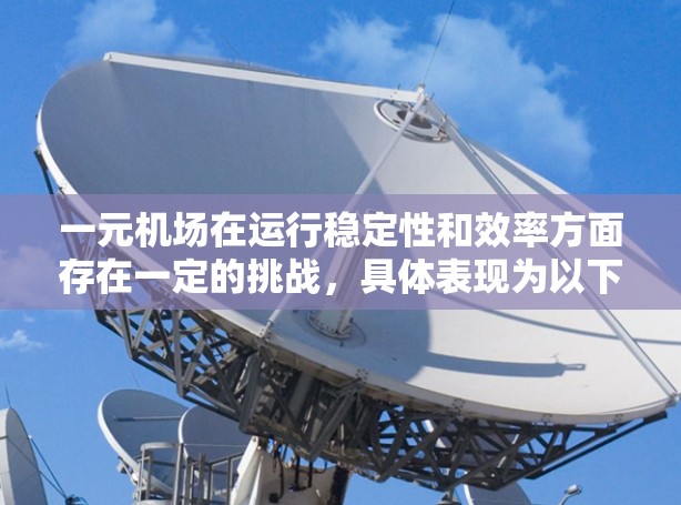 一元机场在运行稳定性和效率方面存在一定的挑战，具体表现为以下几点