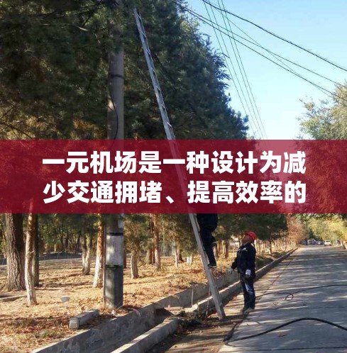 一元机场是一种设计为减少交通拥堵、提高效率的独特机场形式，它通过单一的交通通道和空间，服务于单一的乘客流量。以下是关于一元机场的相关信息