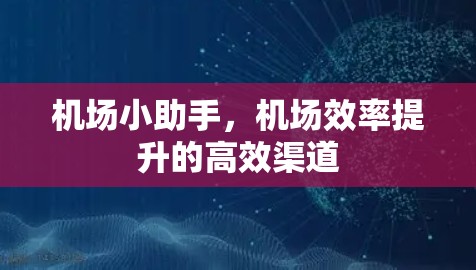 机场小助手，机场效率提升的高效渠道