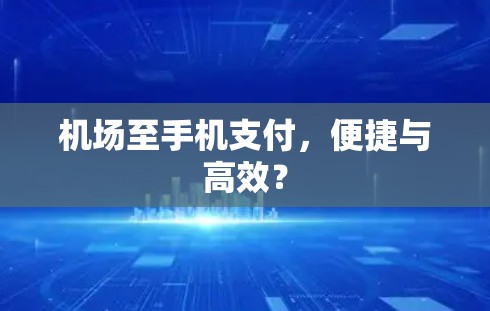 机场至手机支付,便捷与高效? 机场至手机支付,便捷与高效?