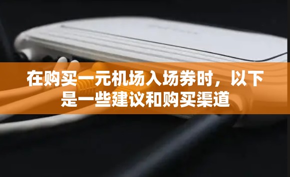 在购买一元机场入场券时，以下是一些建议和购买渠道