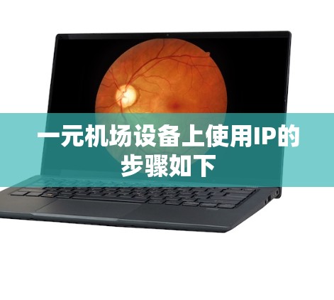 一元机场设备上使用IP的步骤如下 一元机场设备上使用IP的步骤如下