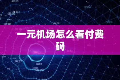 一元机场怎么看付费码