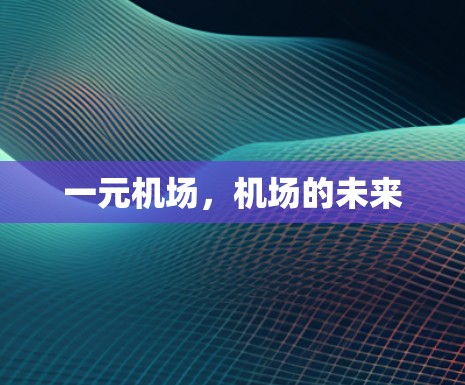 一元机场,机场的未来 一元机场,机场的未来