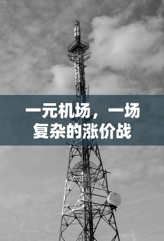 一元机场,一场复杂的涨价战 一元机场,一场复杂的涨价战