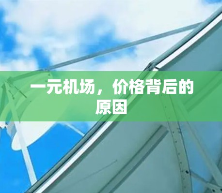 一元机场,价格背后的原因 一元机场,价格背后的原因