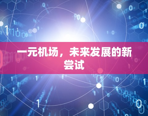 一元机场,未来发展的新尝试 一元机场,未来发展的新尝试