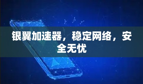 银翼加速器，稳定网络，安全无忧