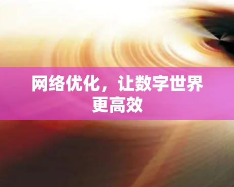 网络优化，让数字世界更高效