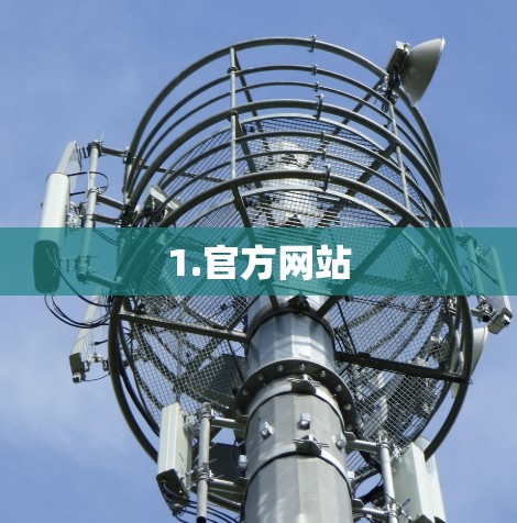 1.官方网站 1.官方网站