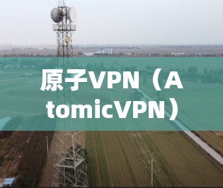原子VPN（AtomicVPN）主要用于VPN服务，支持电脑和移动设备，提供安全、加密的网络连接。以下是一些关于如何安装和使用原子VPN电脑版的常见问题及解决步骤